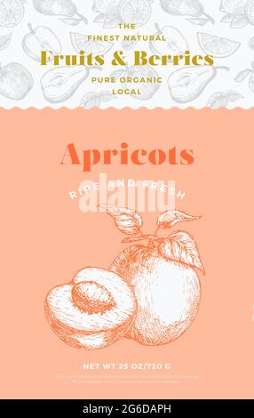Fruits and Berries Pattern Label Template. Abstract Vector Packaging Design Layout. Modern Typography Banner with Hand Drawn Apricot with Slice Sketch Stock Vector