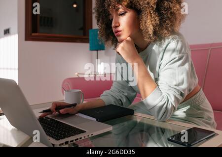 Focused African American female freelancer using netbook while sitting at table at home and working remotely on project Stock Photo