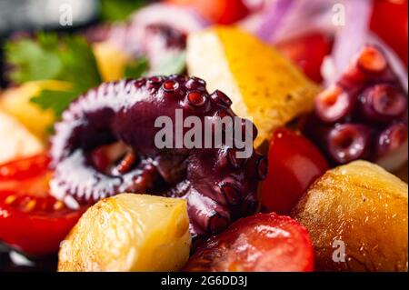 Tasty salad with octopus and assorted vegetables and herbs on plate on table Stock Photo