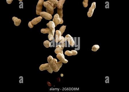 Realistic freeze motion of flying peanuts on black background. Stock Photo