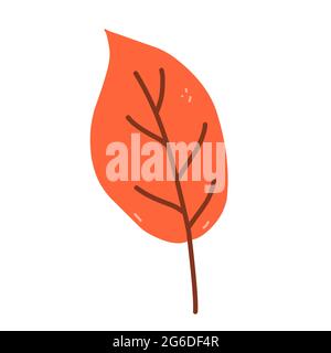 Autumn orange leaf isolated on white background. Vector hand-drawn illustration in cartoon flat style. Perfect for your project, cards, invitations, print, decorations. Stock Vector