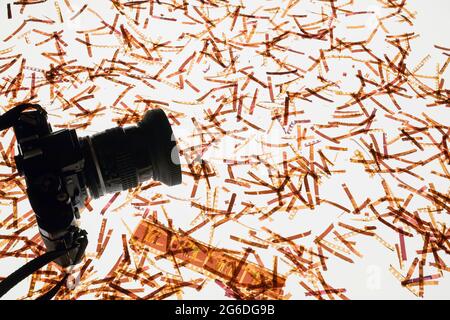 Silhouetted 35mm single-lens reflex camera and shredded developed 35mm colour negative film strips on light table Stock Photo