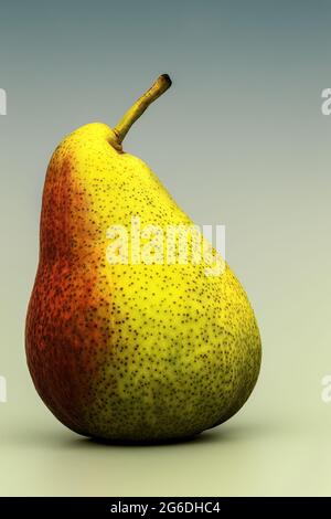 close up of a green red pear against gray background Stock Photo