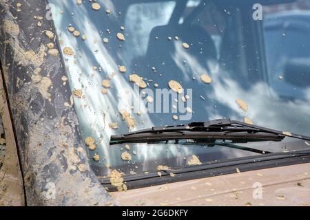 Dirty car with unwashed windshield in spots of dry mud, front part of the vehicle front view close up of the window and blade wiper. Stock Photo