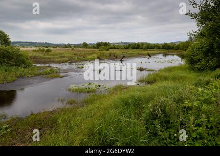 Cors Caron National Nature reserve, one of the largest raised peat bogs in the UK. Stock Photo