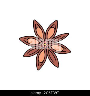 Anise olor line icon. Essential oils fruit seeds. Pictogram for web page, mobile app, promo. UI UX GUI design element. Editable stroke. Stock Vector