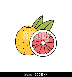 Grapefruit olor line icon. Essential oils fruit seeds. Pictogram for web page, mobile app, promo. UI UX GUI design element. Editable stroke. Stock Vector