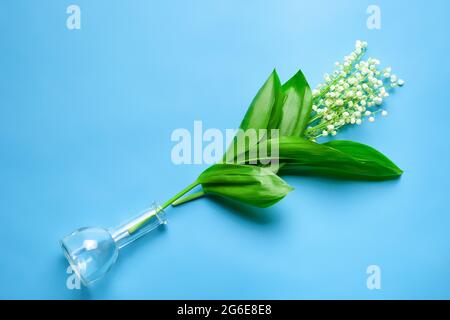 Bouquet of lillies of the valley in the transparent glass vase. Top view with blue isolated background Stock Photo