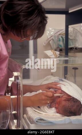 nurse taking temperature of newborn baby born by cesarian section, in incubator SCU of hospital