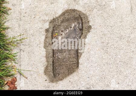 Shoe print imprinted in cement, stained wet from the rain, with a small pool of water in it. Grass on the side of the paved sidewalk. Stock Photo