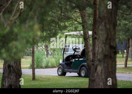 Golf cart, toy for kids, remote controlled, driven by batteries. Golf  souvenir Stock Photo - Alamy