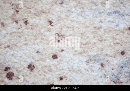 Pale white onyx, a natural stone with black patches and a close-up of rough-cut surface. Background, pattern, texture. Stock Photo