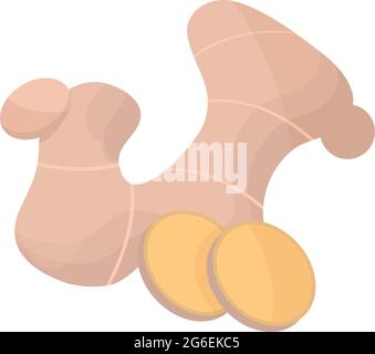 whole and slice ginger Stock Vector