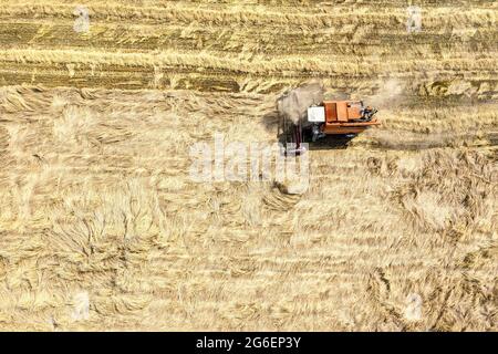 agricultural harvester machine working in the ripe wheat field. aerial top view from flying drone Stock Photo