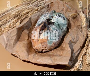 Green moldy bread on craft pack. Food waste and overconsumption concept. Minimalist style. Stock Photo