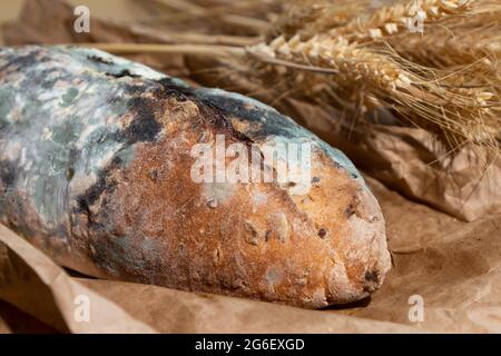 Green moldy bread on craft pack. Food waste and overconsumption concept. Minimalist style. Stock Photo