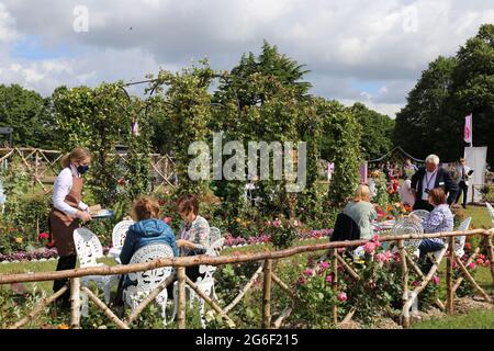 Rose Tea Garden, RHS Feature, RHS Hampton Court Palace Garden Festival 2021, Preview Day, 5 July 2021, London, England, UK Stock Photo