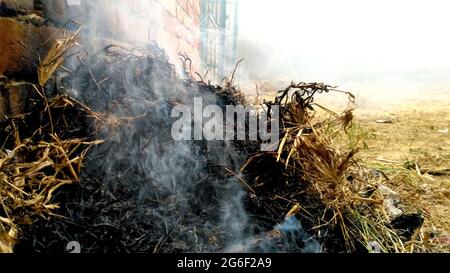 Burning old dry grass in garden. Flaming dry grass on a field Stock Photo