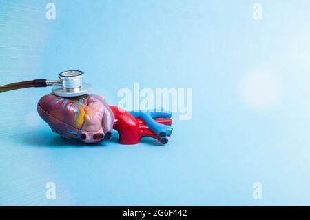 The stethoscope lies on a mock-up of the human heart on a blue background. Heart complication concept after coronavirus disease, blood clots Stock Photo