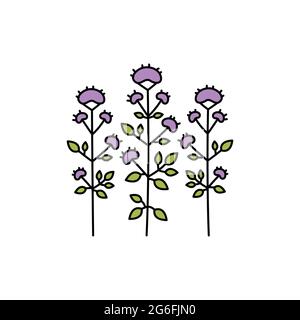 Oregano olor line icon. Essential oils. Pictogram for web page, mobile app, promo. UI UX GUI design element. Editable stroke. Stock Vector