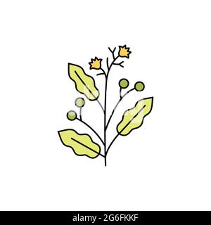 Camphor olor line icon. Essential oils. Pictogram for web page, mobile app, promo. UI UX GUI design element. Editable stroke. Stock Vector