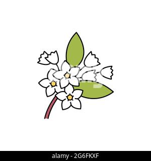 Jasmine olor line icon. Essential oils. Pictogram for web page, mobile app, promo. UI UX GUI design element. Editable stroke. Stock Vector
