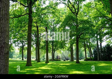 Pittoresk park in Holland, Europe Stock Photo - Alamy