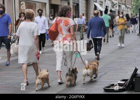Peoples with dogs along Bergamo street center, Lombardy, Italy. Stock Photo