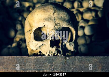 Very old human skull on wooden board, with bones in the background Stock Photo