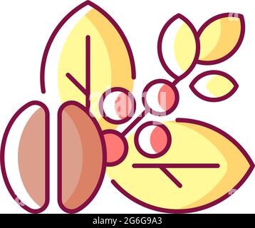 Raw coffee beans RGB color icon Stock Vector