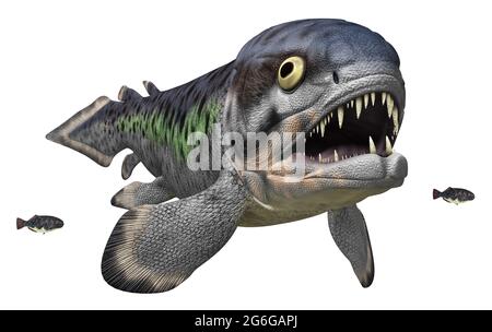 Prehistoric fish Rhizodus isolated on white background Stock Photo