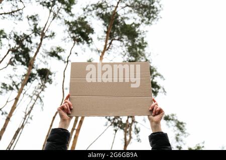 Female hands standing with cardboard outdoors. Nature background. Copy space for text. Protester activist Stock Photo