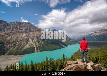 Man looking at Peyto lake on Icefields Parkway in Banff National Park, Alberta, Rocky Mountains, Canada Stock Photo