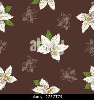 Hand Drawn Vanilla Flowers in Vintage Style Seamless Pattern. Line drawing Vanilla blossoms sketches for background, backdrop, wrapping paper, menu, recipe, fabric, textile, web, decor, wallpaper, spa and beauty care products Stock Vector