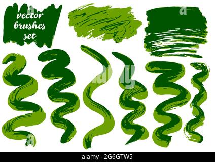 Vector illustration. Collection of green bicolor paint, ink brush strokes. Dirty elements Stock Vector