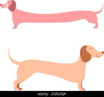 dachshund, wiener dog on white background vector illustration Stock Vector