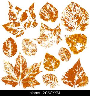 Set of vector drawings with acrylic paints. Collection of autumn leaves in orange. Two-tone prints of paint. Good for autumn design of banners, flyers Stock Vector