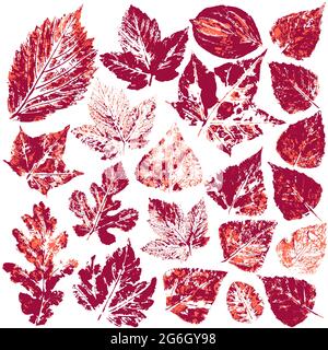 Collection of autumn leaves in red. Set of vector drawings with acrylic paints. Two-color print, imprint. Good for autumn design Stock Vector