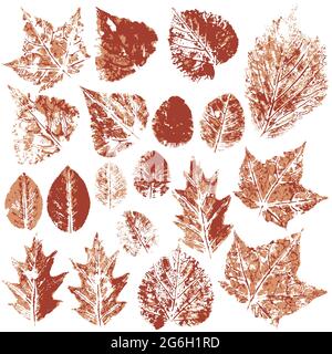 Set of vector drawings with acrylic paints. Collection of autumn leaves in brown. Two-color print, imprint. Good for autumn design of banners, flyers, Stock Vector