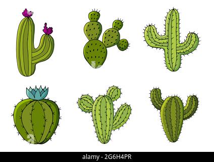 Cute vector illustration. Set of cartoon images of cacti. Cacti, aloe, succulents in a creative collection. Print pin, badge. Decorative natural eleme Stock Vector