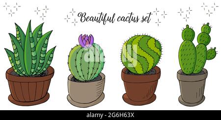 Cute illustration. Set of cartoon images of cacti in flower pots. Cacti, aloe, succulents. Collection Decorative natural elements are isolated on whit Stock Vector
