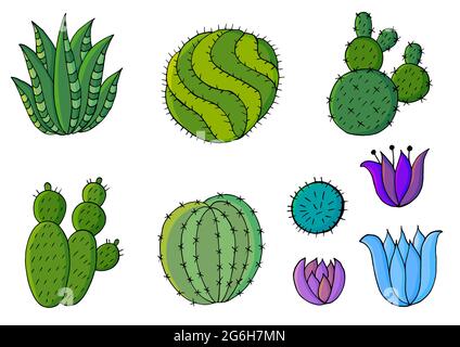 Cute vector illustration. Set of cartoon images of cacti. Cacti, aloe, succulents in a creative collection. Decorative natural elements are isolated o Stock Vector
