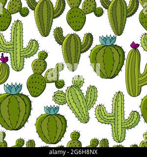 Vector seamless pattern of different cacti. Cute background from tropical plants. Exotic wallpaper. Trending image Stock Vector