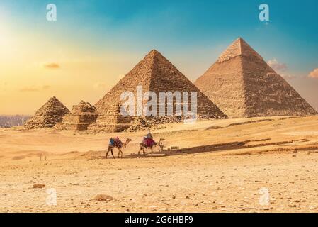 Bedouin with camels on a background of pyramids at sunset Stock Photo