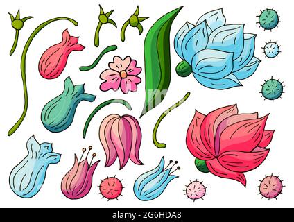 Collection of vector floral elements. Flowers and leaves in hand draw style. Elements for your design. Peonies and tulips Stock Vector