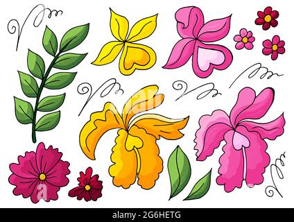 Collection of vector floral elements. Flowers and leaves in hand draw style. Elements for your design. Orchids, green leaves and curls Stock Vector