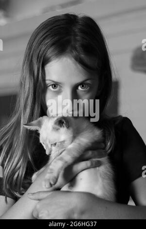 A girl that loves her new Lynx Point Siamese kitten Stock Photo