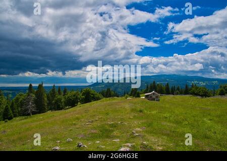 in the heights of the vallée de joux in the jura area in switzerland Stock Photo