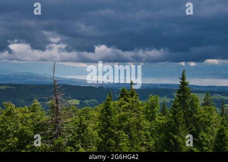 in the heights of the vallée de joux in the jura area in switzerland Stock Photo