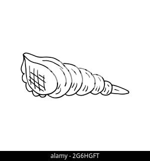 Contour. Nice shell. Marine theme icon in hand draw style. Cute childish illustration of sea life. Icon, badge, sticker, print for clothes Stock Vector